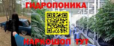 гашиш Сланцы