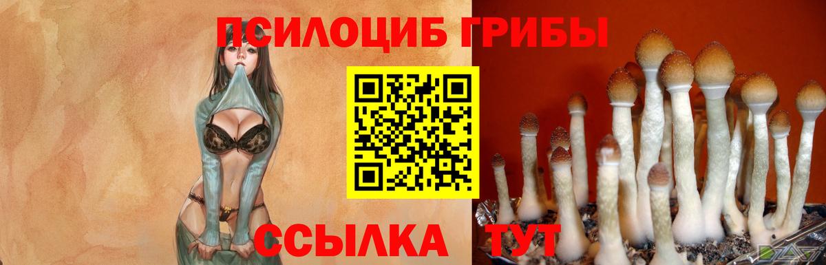Псилоцибиновые грибы Psilocybe  Вход с VPN  Новокубанск  Галлюциногенные грибы Cubensis 